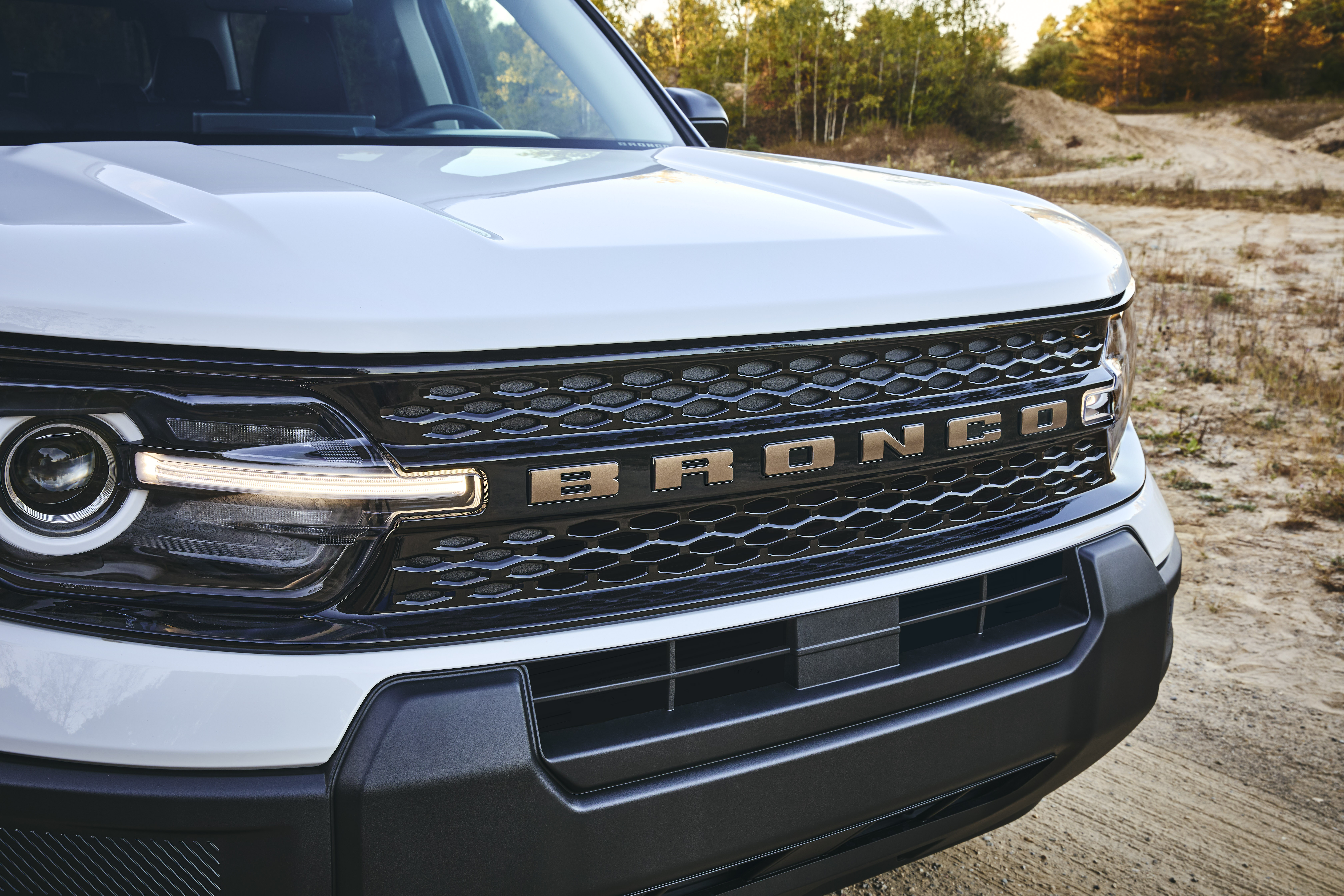 A white Ford Bronco with the word "Bronco" across the grille in bronze letters.